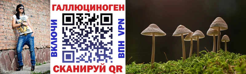 Псилоцибиновые грибы Psilocybine cubensis  купить наркотик  Фролово 